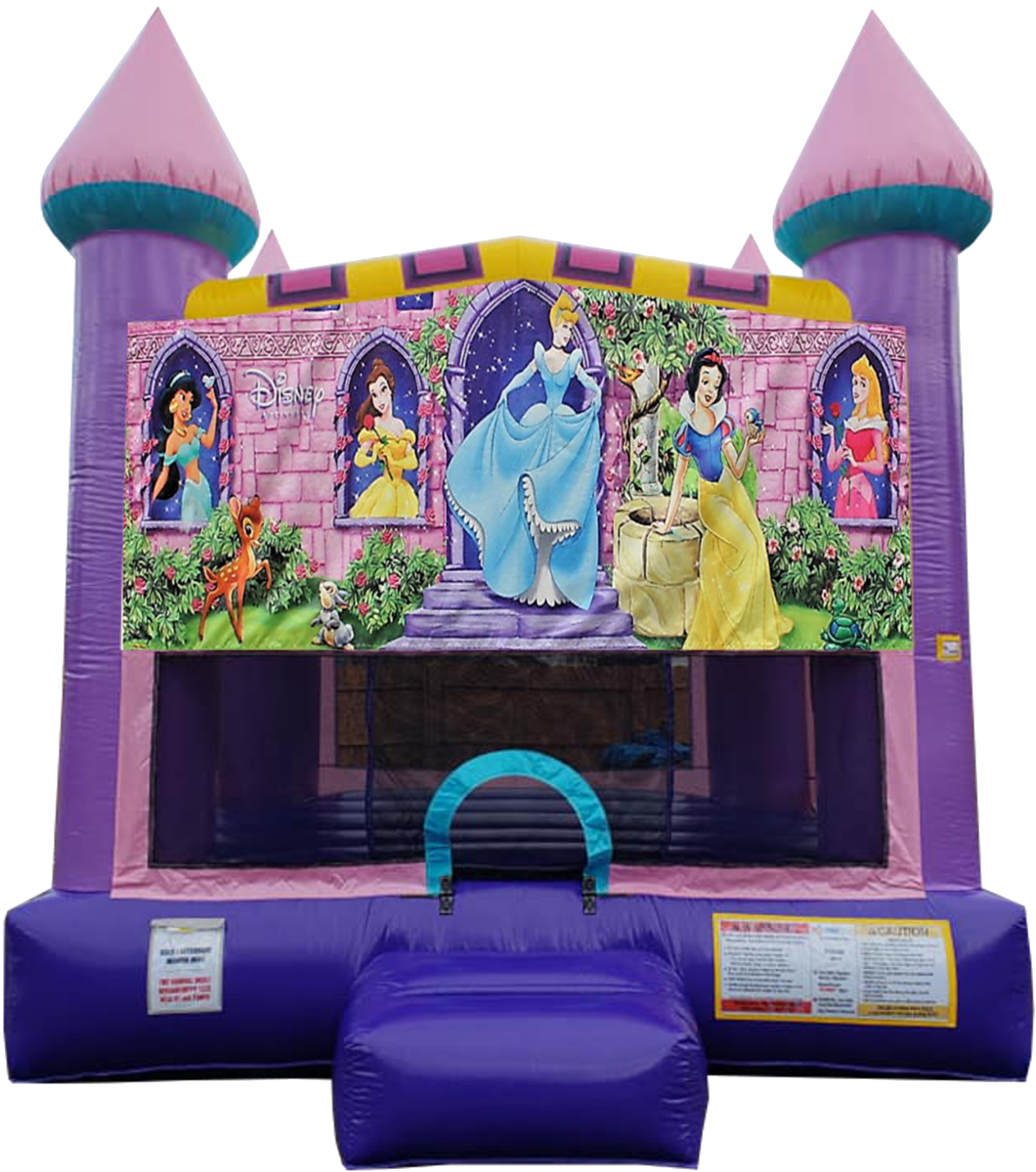 princess bouncy castle Nashville